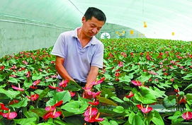 科技賦能特色農業(yè) 技術開發(fā)助力農民增收致富